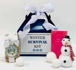 Sensational Winter Day Survival Kit/Care Package ($25)